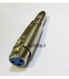 تبدیل فیش مادگی میکروفن به مادگی کنون