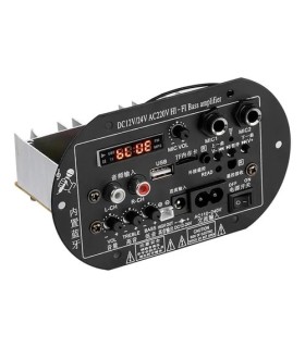 پنل آمپلی فایر بلوتوثی فلش خور با ساب، توییتر و میکروفن 12V/220V